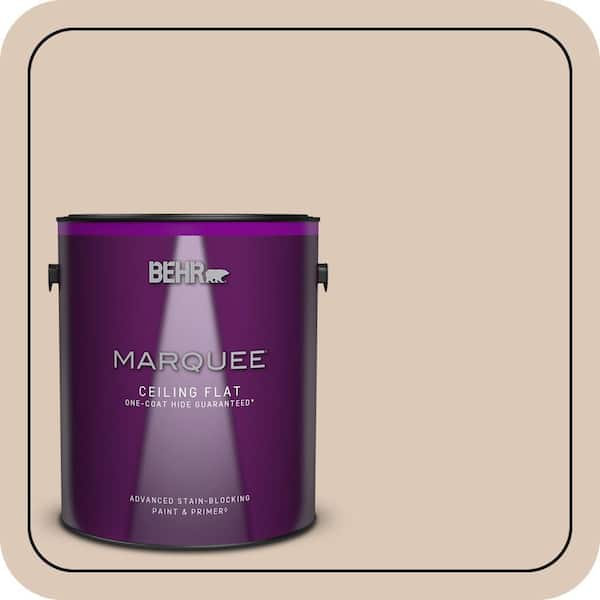 1 gal. #MQ3-09 Loft Light One-Coat Hide Ceiling Flat Interior Paint & Primer