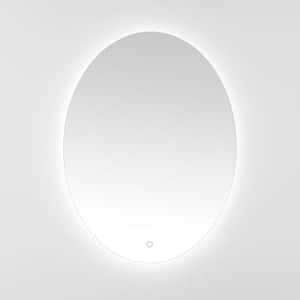 Nolan 24 in. W x 32 in. H Aluminum Oval Modern White LED Wall Mirror