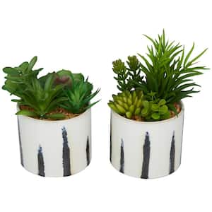 9 in. H Succulents Artificial Plant with Realistic Leaves and Patterned Porcelain Pot (Set of 2)