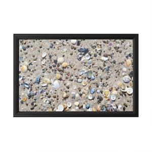 "Shelly Beach" by Beata Czyzowska Framed with LED Light Still Life Nature Wall Art 16 in. x 24 in.