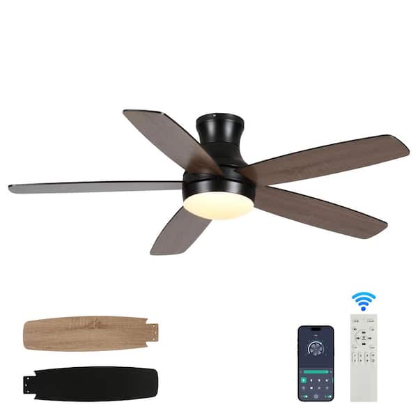 FIRHOT 52 in. Smart Indoor Black Low Profile Standard Ceiling Fan with APP Remote Dimmable Integrated LED and 2-Blade Colors