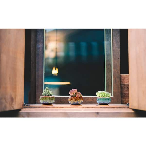2.8 in. Multicolor Indoor Artificial Plant Ceramic Succulent