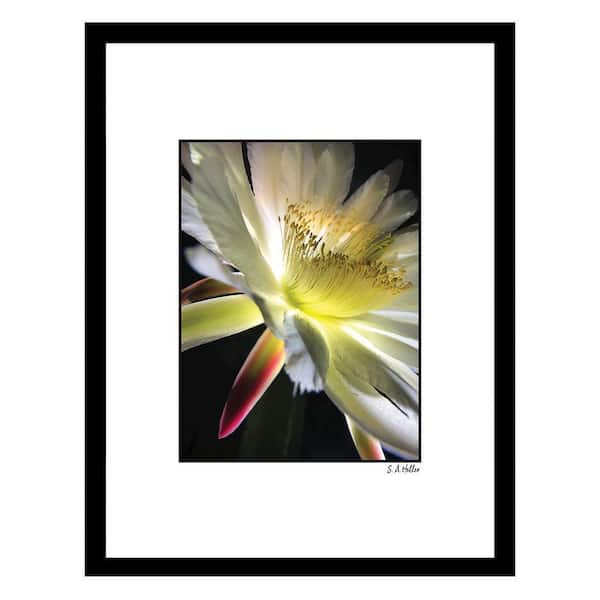 VENICE BEACH Collections Heller Photography Bloom Parade Framed Printed Photograph by Steven A Heller Nature Poster Art Print 18 in. x 14 in.