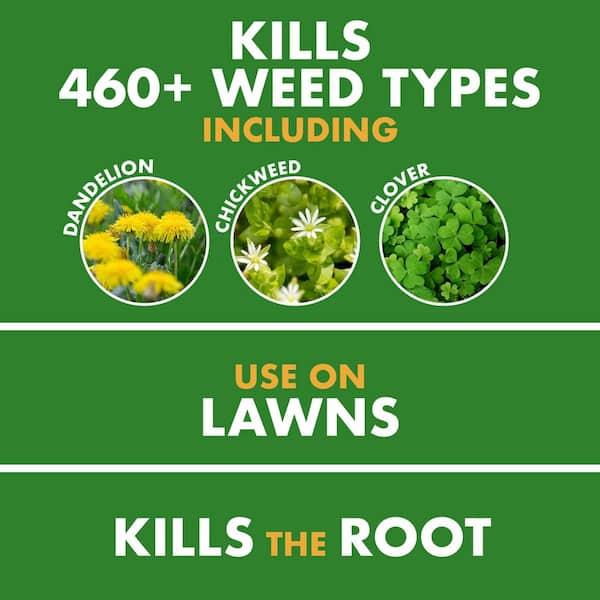 1 gal. Weed Stop for Lawns Weed Killer Ready-To-Use AccuShot Sprayer