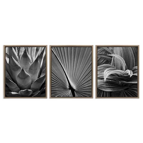 Stupell Industries Palm Frond Details by Chip Forelli 3 Pieces Brown Floater Frame Nature Graphic Art Print 21 in. x 17 in.