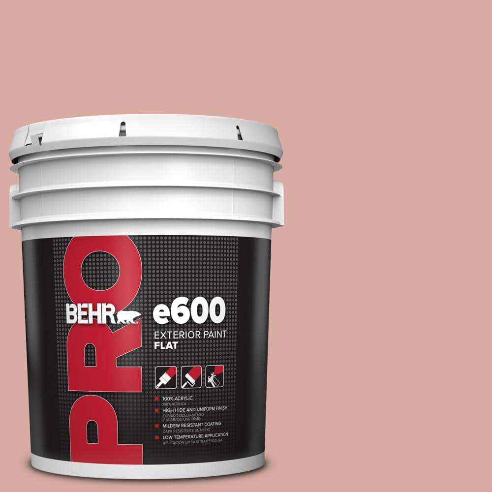 5 gal. #T17-06 Everythings Rosy Flat Exterior Paint price history on PriceWatchPro