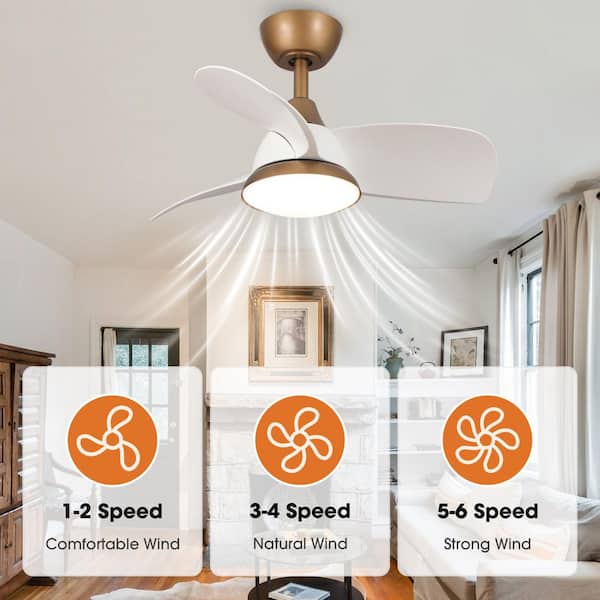 Parrot Uncle 28 in. Integrated LED Brass Gold Ceiling Fan with