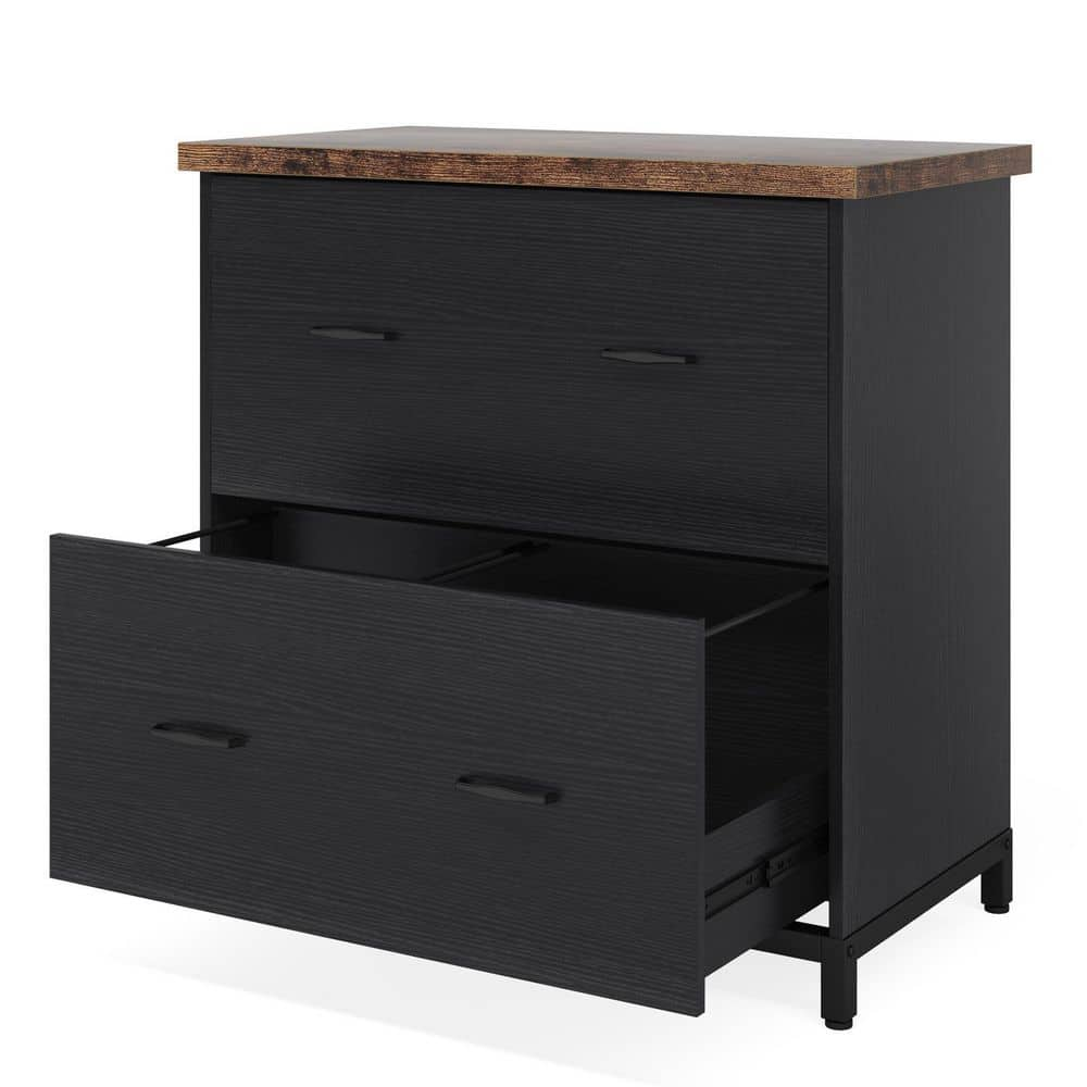 Tribesigns Frances Black File Cabinet with 2 File Drawers, Letter Size ...