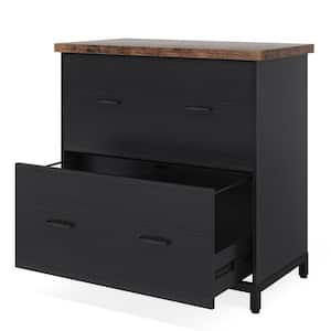 Frances Black File Cabinet with 2 File Drawers, Letter Size