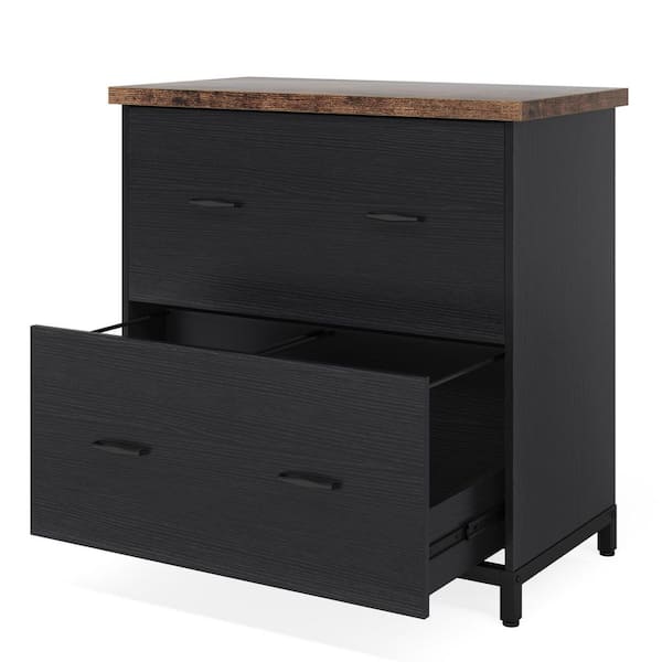 Tribesigns Frances Black File Cabinet with 2 File Drawers, Letter Size