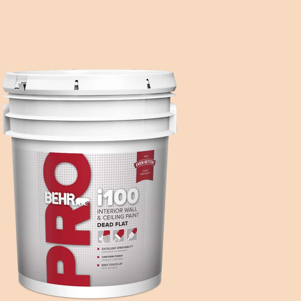 BEHR PRO 5 gal. #M220-2 Pumpkin Essence Dead Flat Interior Paint PR10505 -  The Home Depot