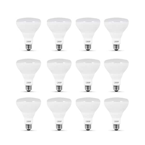 Feit Electric 85-Watt Equivalent BR30 Dimmable CEC Enhance 90+ CRI CEC Title 20 E26 Flood LED Light Bulb, Daylight 5000K (12-Pack)