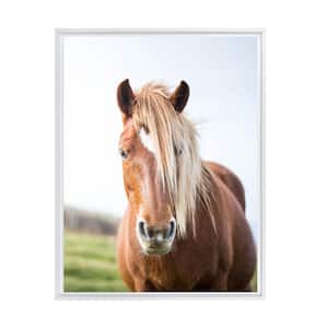 Wild Horse Framed Canvas Wall Art - 24 in. x 32 in. Size, by Kelly Merkur 1 -piece White Frame