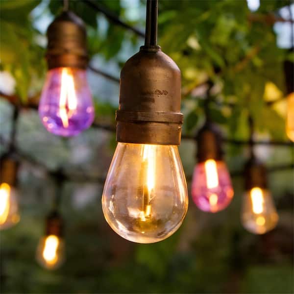 12-Light String Light 46 ft. Indoor/Outdoor Plug-In Integrated LED Fairy Decorative String Lights