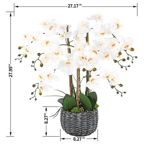 Vanity Art 27.95 in. H Phalaenopsis Orchids Floral Arrangement in Bamboo Woven Pot