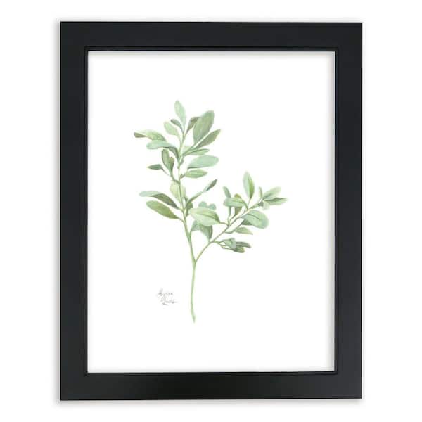 Unbranded Nature's Lace 1 "Lamb's Ear" by Alyssa Lewis Individual Black Framed Nature Art Print 24 in. x 18 in.