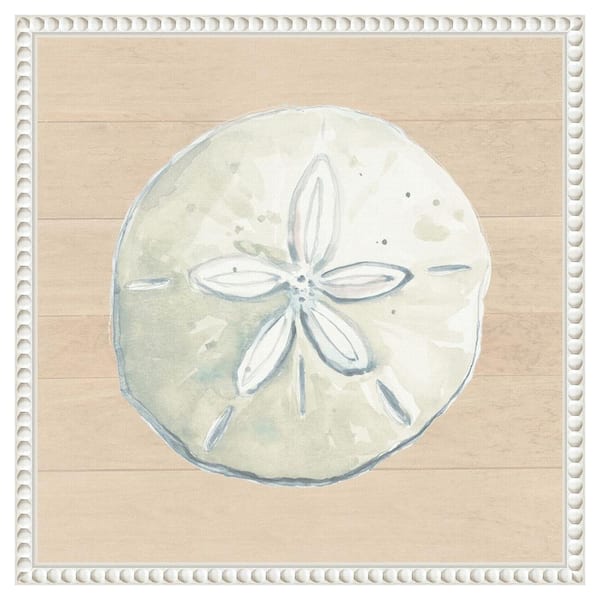 Amanti Art "Sand Dollar On Wood Background" by Patricia Pinto 1-Piece Floater Frame Giclee Coastal Canvas Art Print 16 in. x 16 in.