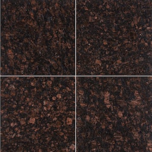 Victorian Brown 12 in. x 12 in. Polished Granite Stone Look Floor and Wall Tile (10 sq. ft./Case)