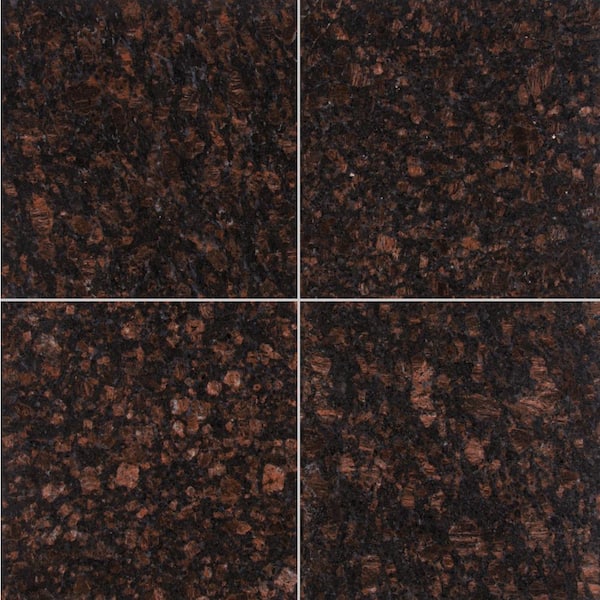 MSI Victorian Brown 12 in. x 12 in. Polished Granite Floor and Wall Tile (10 sq. ft./Case)