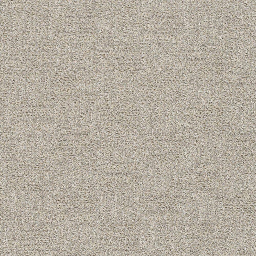 8 in. x 8 in. Pattern Carpet Sample - Nestled Nooks - Color Cozy price history on PriceWatchPro