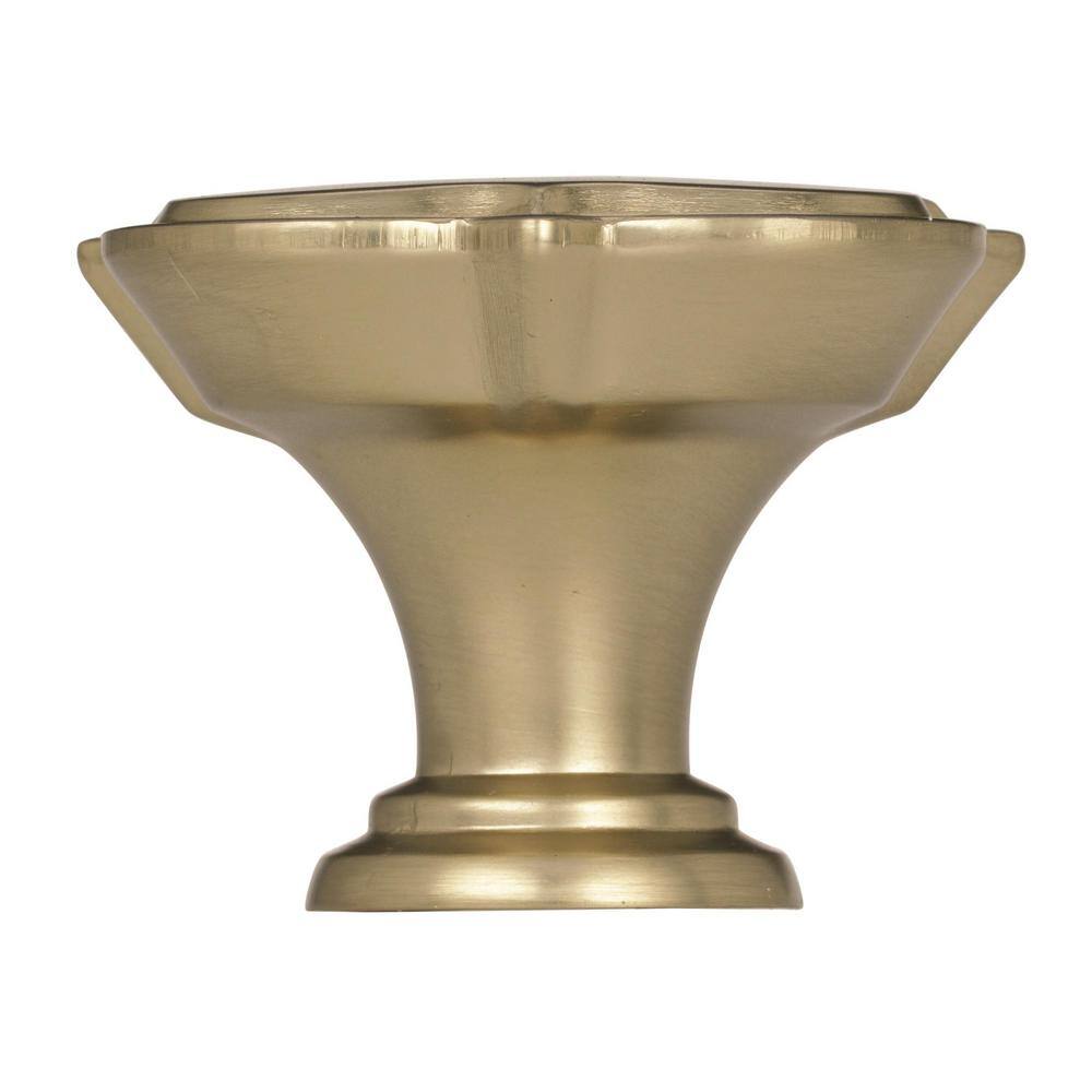 Golden Champagne Traditional Square Cabinet Knob with Mounting Hardware