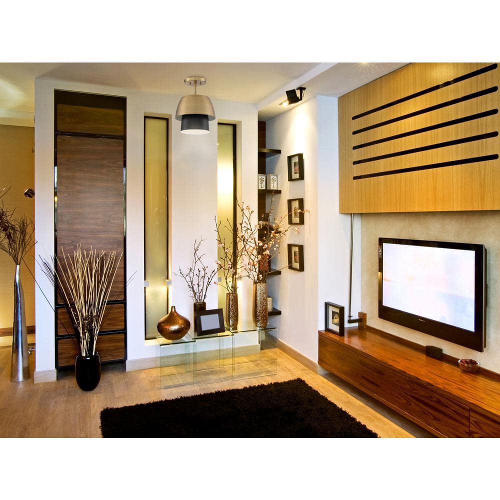Moon Shadow 14" Matte Black and Brass Indoor/Outdoor Ceiling Light