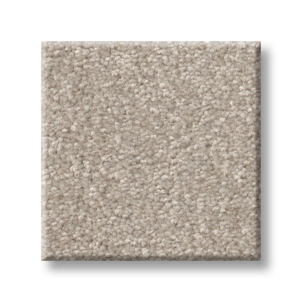 8 in. x 8 in. Texture Carpet Sample - Blakely II -Color Opal price history on PriceWatchPro