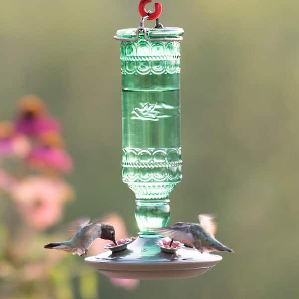 Green Antique Bottle Decorative Glass Hummingbird Feeder - 10 oz. Capacity