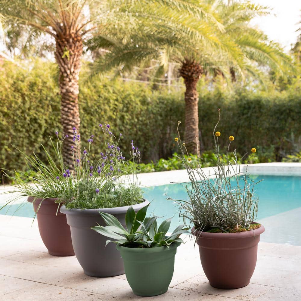 Ariana Thyme Green Resin Bell Planter for Indoor & Outdoor, 10.2" H x 12" D