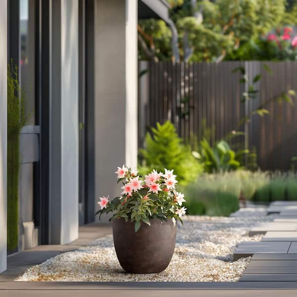 14 in. Large Earthy Brown Concrete Round Planter / Pot with Drainage Holes