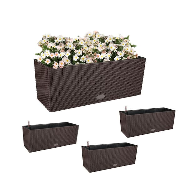 20 in. L x 7 in. W x 7 in. H Coffee Rectangular Plastic Rattan Box Planter (4-Pack)