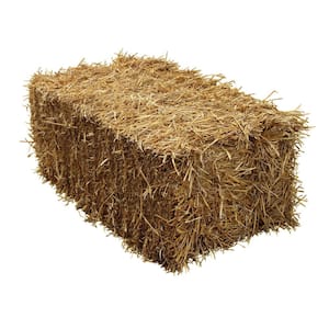 USA PINESTRAW Box of 160 Sq.ft. Long Needle Pine Straw Mulch  HD-88-3EQ8-R75E - The Home Depot