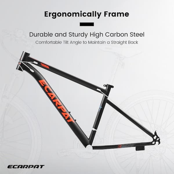 Zeus & Ruta 27.5 in. Mountain Bike with 21-Speed and Carbon