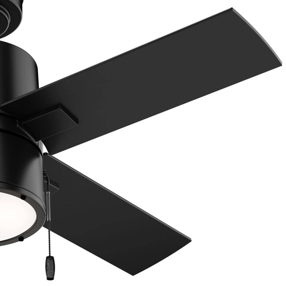 Hunter Beck 42" Matte Black Ceiling Fan with Greyed Walnut Blades and LED Light