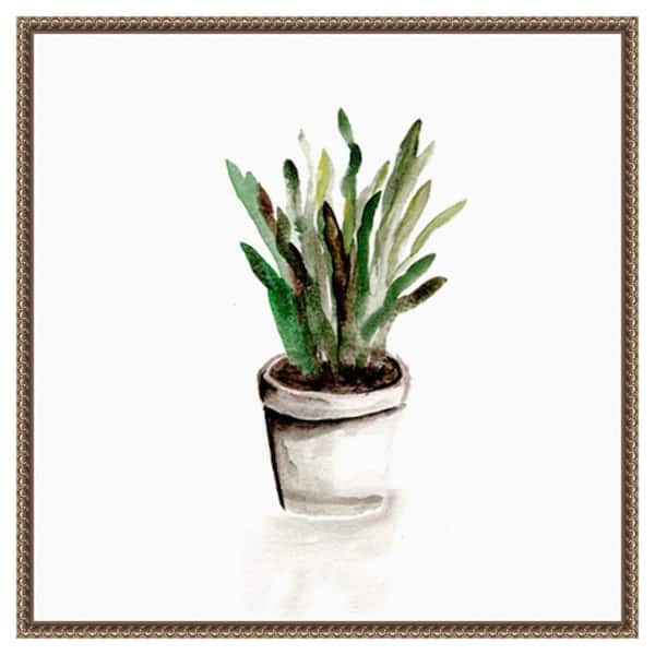 Amanti Art Potted Botanicals III by Marcy Chapman 22 in. W x 22 in. H. Canvas Wall Art Print Framed in Bronze