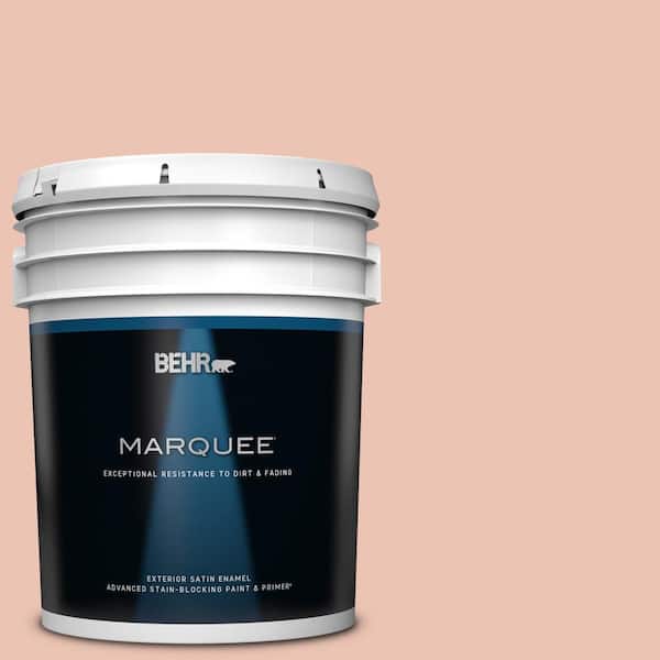 BEHR MARQUEE 5 gal. Home Decorators Collection #HDC-CT-14 Coral Coast Satin Enamel Exterior Paint & Primer