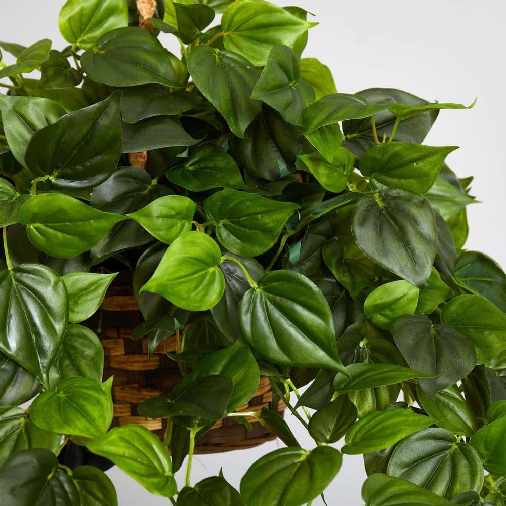 Outdoor UV Resistant Philodendron Hanging Basket