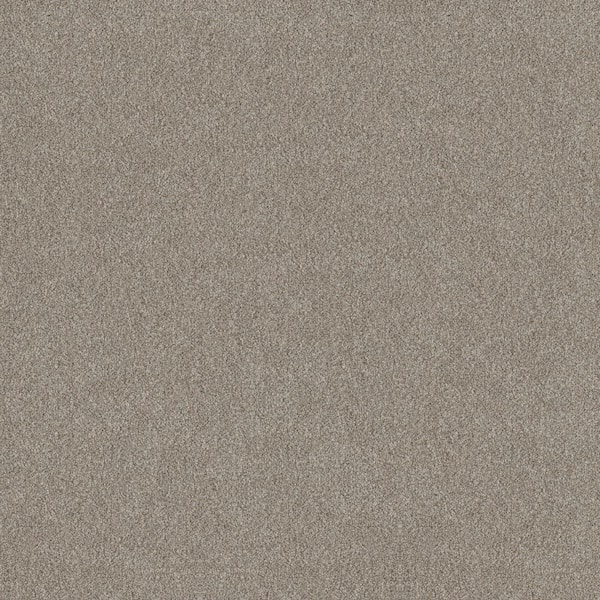 Home Decorators Collection Columbus II - Nutria - Gray 74.9 oz. SD Polyester Texture Installed Carpet
