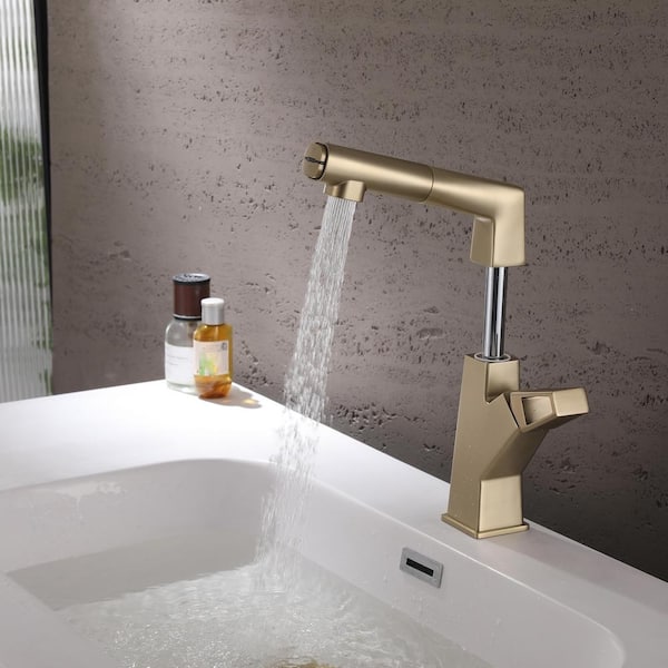 Single Handle Single Hole Bathroom Faucet Pull Out Sprayer and 360-Degree Rotary Lift in Brushed Gold