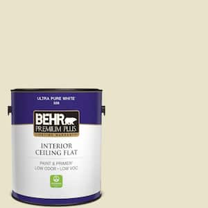 1 gal. #PPU9-14 White Cliffs Ceiling Flat Interior Paint