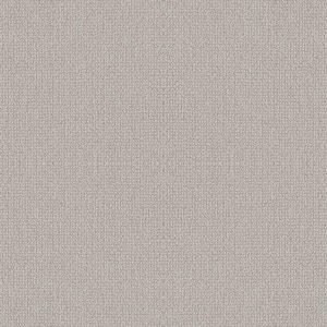Tower Road - Antique Lace - Beige 32.7 oz. SD Polyester Loop Installed Carpet