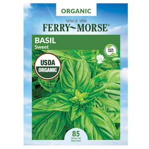 Organic Basil Sweet Herb Seed
