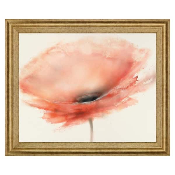 28 in. x 34 in. CHIFFON POPPY BY PRIOR, J.P. (Mirror Framed)
