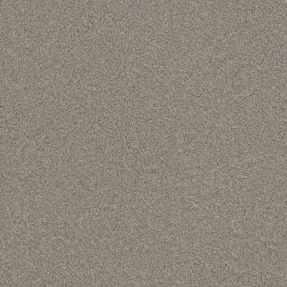 8 in. x 8 in. Texture Carpet Sample - Trendy Threads Plus II -Color Paradise price history on PriceWatchPro