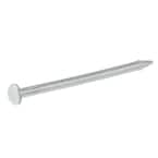 #17 x 1 in. Stainless Wire Nails (1 oz. per Pack)