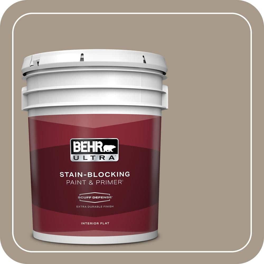 5 gal. #BXC-10 Warm Stone Extra Durable Flat Interior Paint & Primer price history on PriceWatchPro
