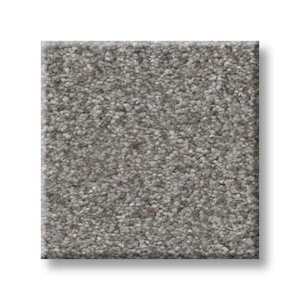 Lifeproof 8 in. x 8 in. Texture Carpet Sample - Rosemary III -Color Sombre