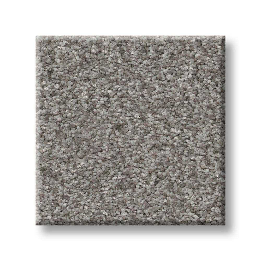 8 in. x 8 in. Texture Carpet Sample - Rosemary I -Color Sombre price history on PriceWatchPro