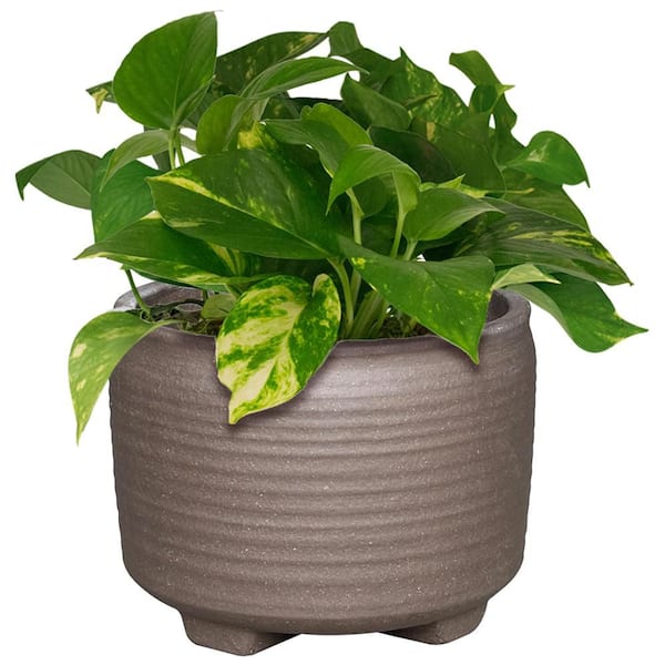 self watering pots for plants Self Care Planter main image 1