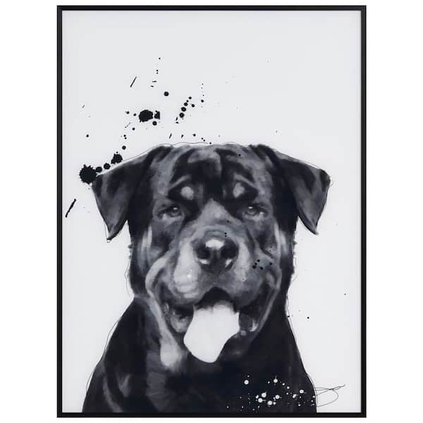"Rottweiler" Black and White Pet Paintings on Printed Glass Encased with a Gunmetal Anodized Frame